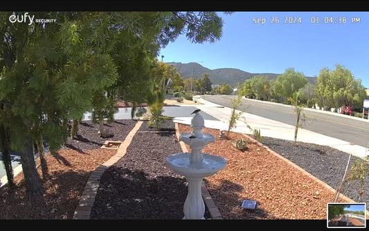 A Spacious Oasis: SolFountain Solar Fountains for Birds to Drink & Bathe Peacefully